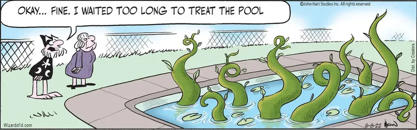 Wizard of Id for Jun 08, 2022