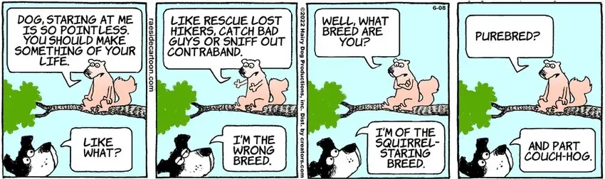 The Other Coast for Jun 08, 2022