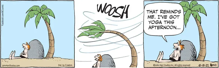 B.C. for Jun 09, 2021