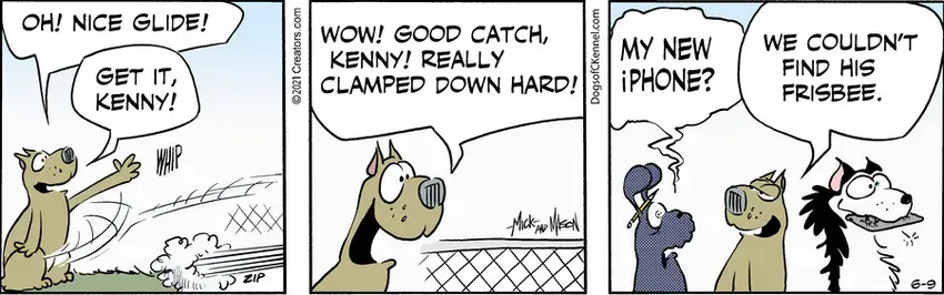Dogs of C-Kennel for Jun 09, 2021