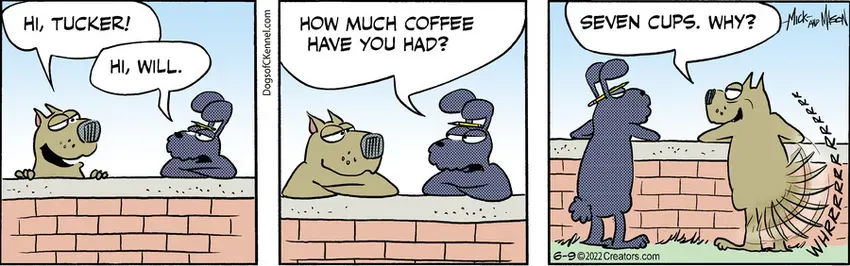 Dogs of C-Kennel for Jun 09, 2022