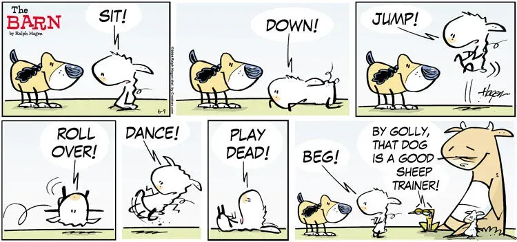 The Barn for Jun 09, 2024