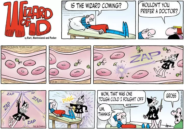 Wizard of Id for Jun 09, 2024