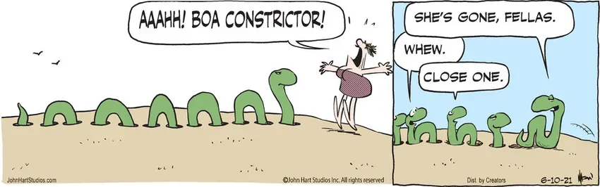 B.C. for Jun 10, 2021