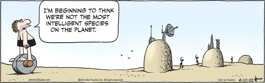 B.C. for Jun 10, 2022