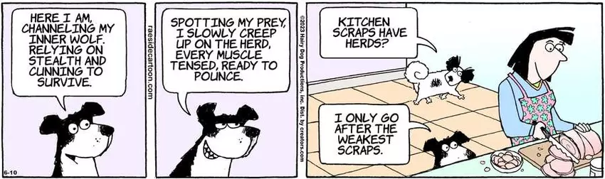 The Other Coast for Jun 10, 2023