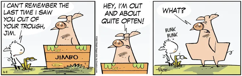 The Barn for Jun 11, 2021