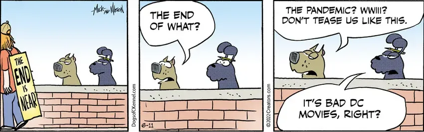 Dogs of C-Kennel for Jun 11, 2022