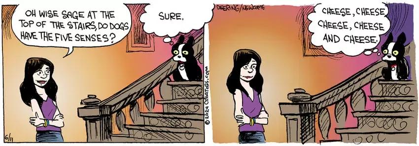 Zack Hill for Jun 11, 2024