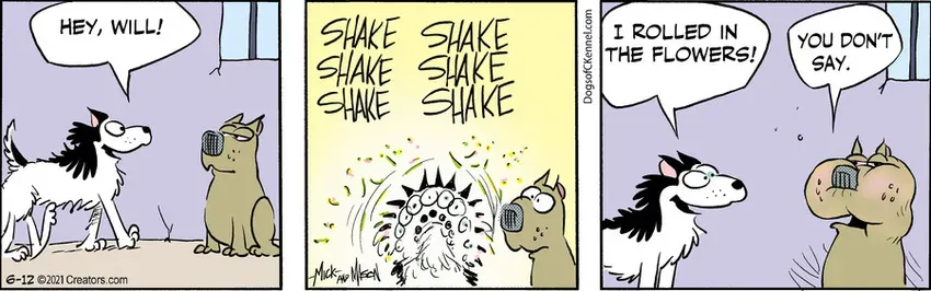 Dogs of C-Kennel for Jun 12, 2021