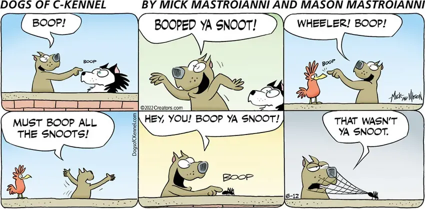 Dogs of C-Kennel for Jun 12, 2022