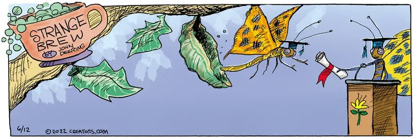 Strange Brew for Jun 12, 2022