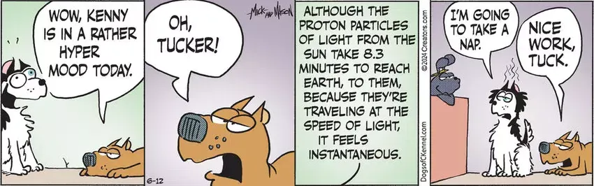 Dogs of C-Kennel for Jun 12, 2024