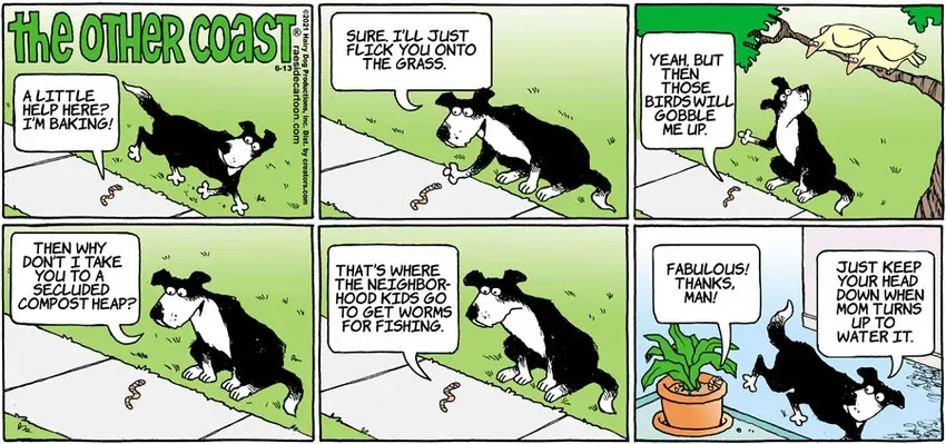 The Other Coast for Jun 13, 2021