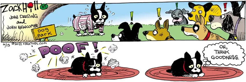 Zack Hill for Jun 13, 2021