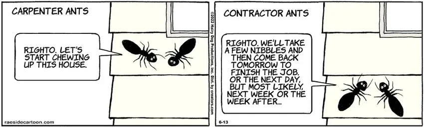 The Other Coast for Jun 13, 2022