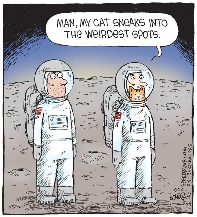 Speed Bump for Jun 14, 2021
