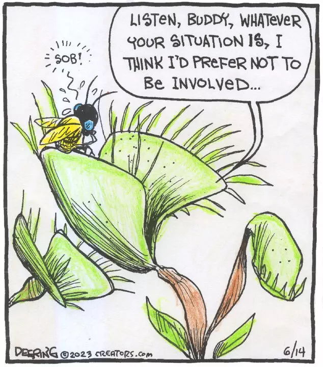 Strange Brew for Jun 14, 2023