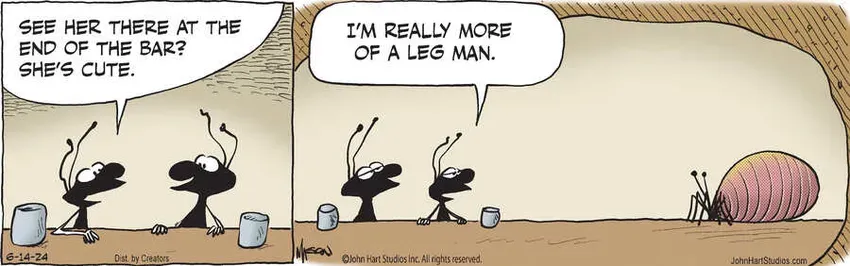 B.C. for Jun 14, 2024