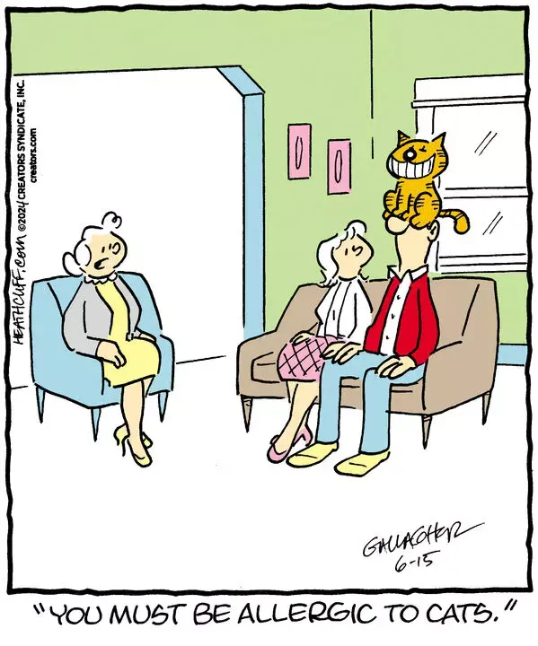 Heathcliff for Jun 15, 2024