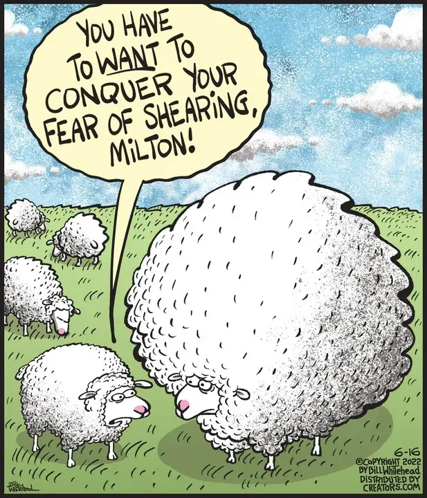 Free Range for Jun 16, 2022