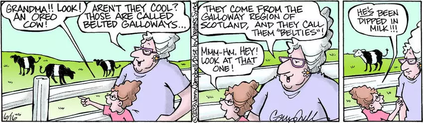 Flo & Friends for Jun 16, 2023