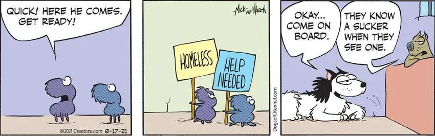 Dogs of C-Kennel for Jun 17, 2021