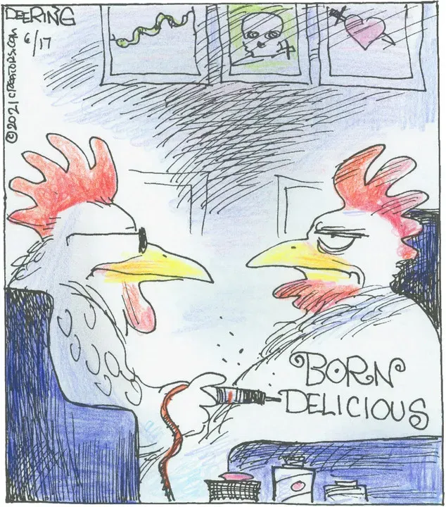 Strange Brew for Jun 17, 2021