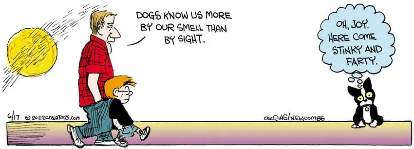 Zack Hill for Jun 17, 2022