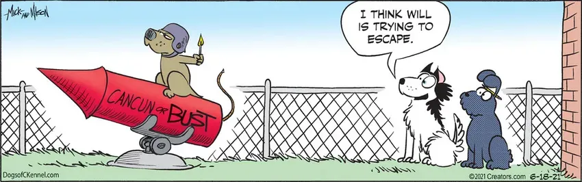 Dogs of C-Kennel for Jun 18, 2021