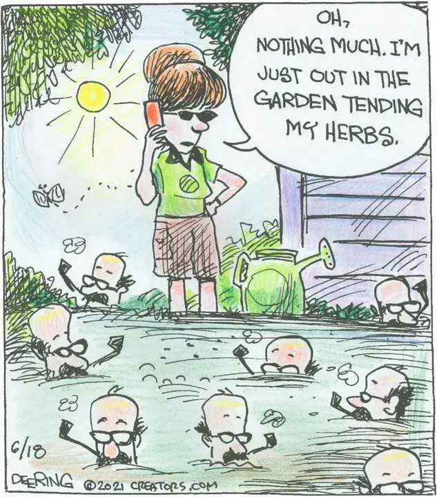 Strange Brew for Jun 18, 2021