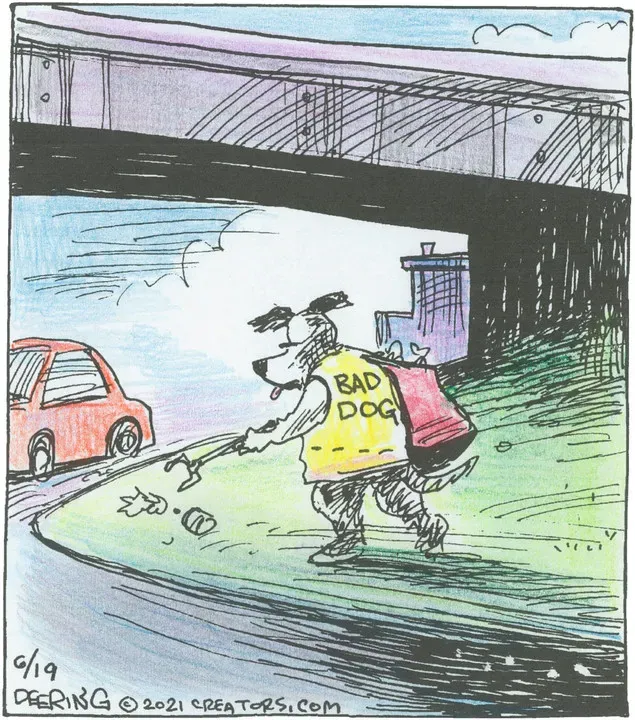 Strange Brew for Jun 19, 2021