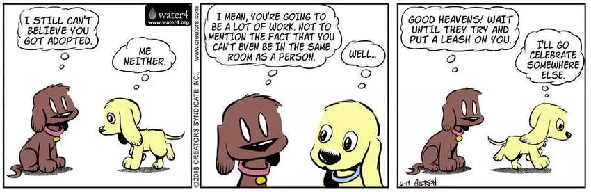 Dog Eat Doug for Jun 19, 2023