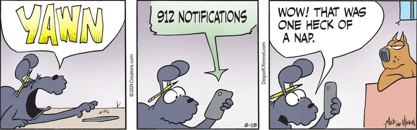 Dogs of C-Kennel for Jun 19, 2024