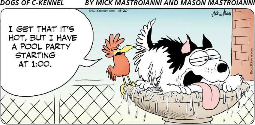 Dogs of C-Kennel for Jun 20, 2021