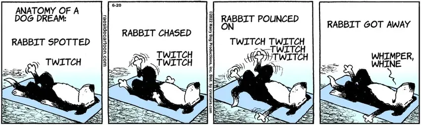 The Other Coast for Jun 20, 2022