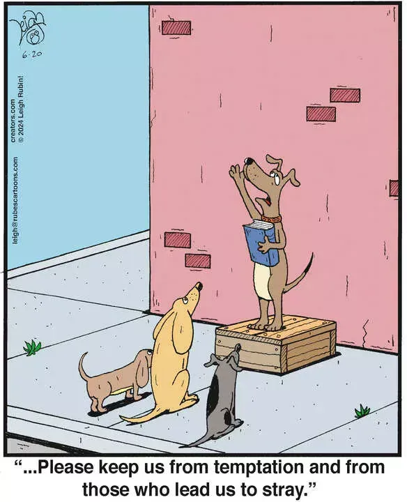 Rubes® for Jun 20, 2024