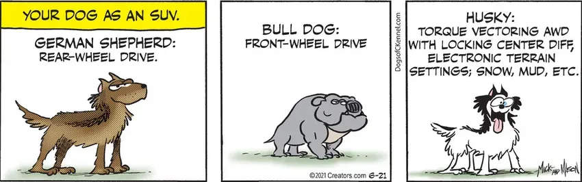 Dogs of C-Kennel for Jun 21, 2021