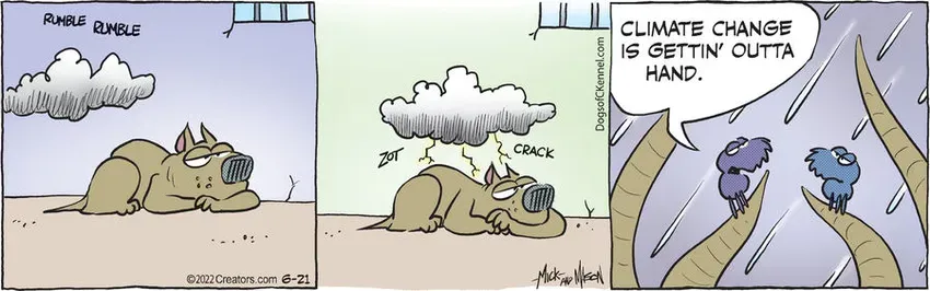 Dogs of C-Kennel for Jun 21, 2022