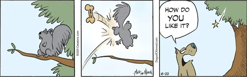 Dogs of C-Kennel for Jun 22, 2021