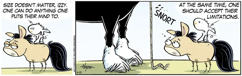 The Barn for Jun 22, 2022