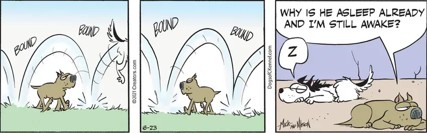 Dogs of C-Kennel for Jun 23, 2021