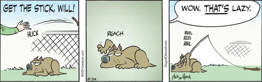 Dogs of C-Kennel for Jun 24, 2021