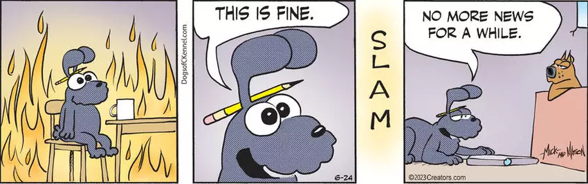 Dogs of C-Kennel for Jun 24, 2023