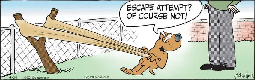 Dogs of C-Kennel for Jun 24, 2024