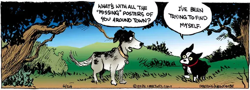 Zack Hill for Jun 24, 2024