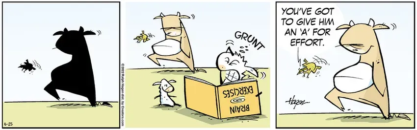 The Barn for Jun 25, 2022