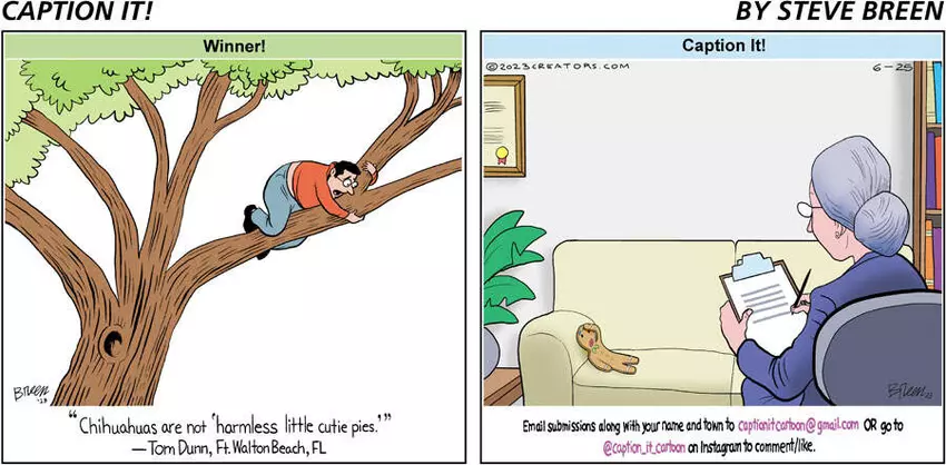 Caption It! for Jun 25, 2023