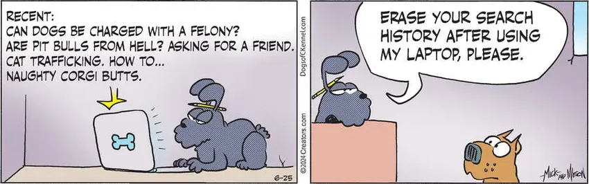 Dogs of C-Kennel for Jun 25, 2024