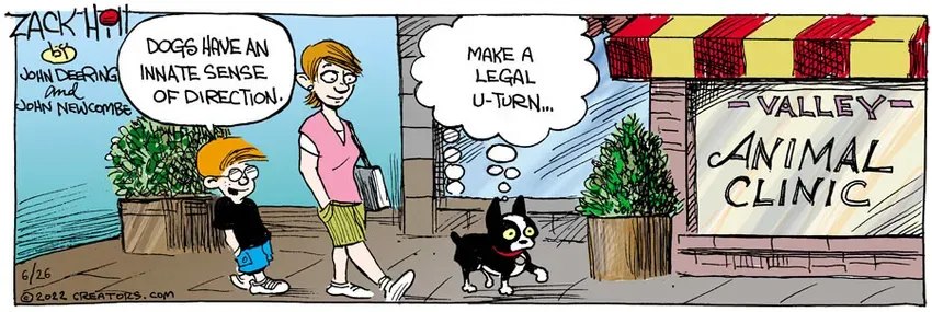 Zack Hill for Jun 26, 2022